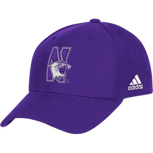 Northwestern Wildcats Mini Replica Helmet